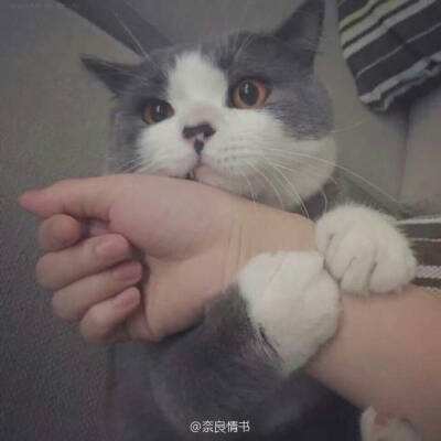 男子用微波炉加热鸡蛋 咬下瞬间爆炸
